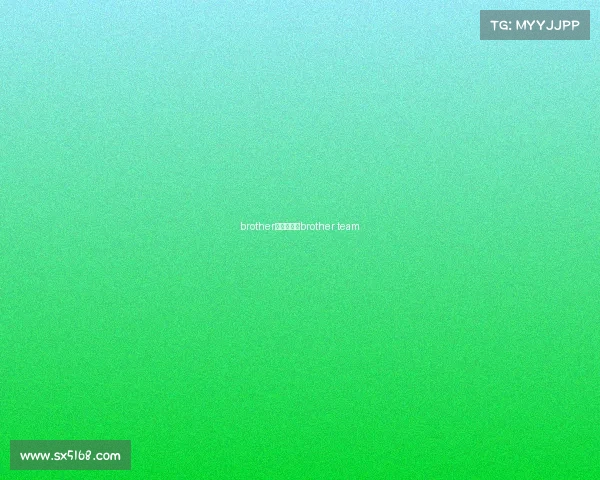 brother电子竞技—brother team